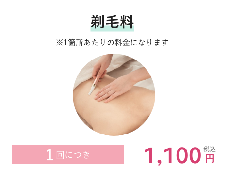 剃毛料 1回につき1,100円税込