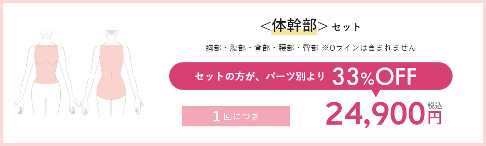 <体幹部>セット セットの方が、パーツ別より33%OFF 1回につき24,900円税込