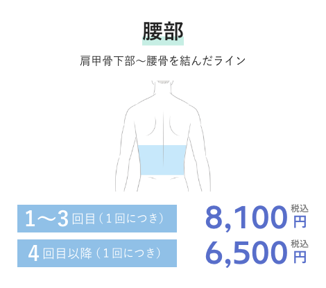 腰部 1~3回目(1回につき)8,100円税込 4回目以降(1回につき)6,500円税込