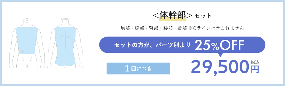 <体幹部>セット セットの方が、パーツ別より25%OFF 1回につき29,500円税込